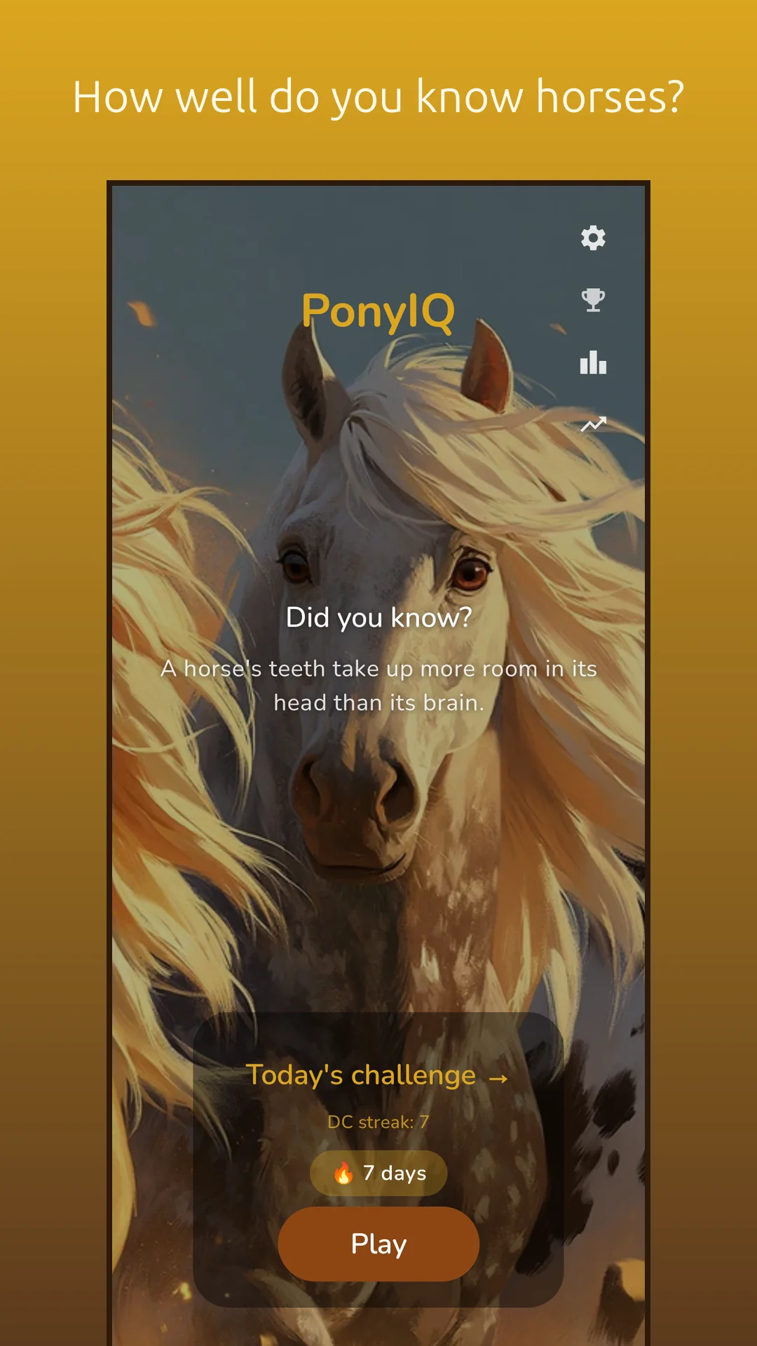 PonyIQ screenshot 1