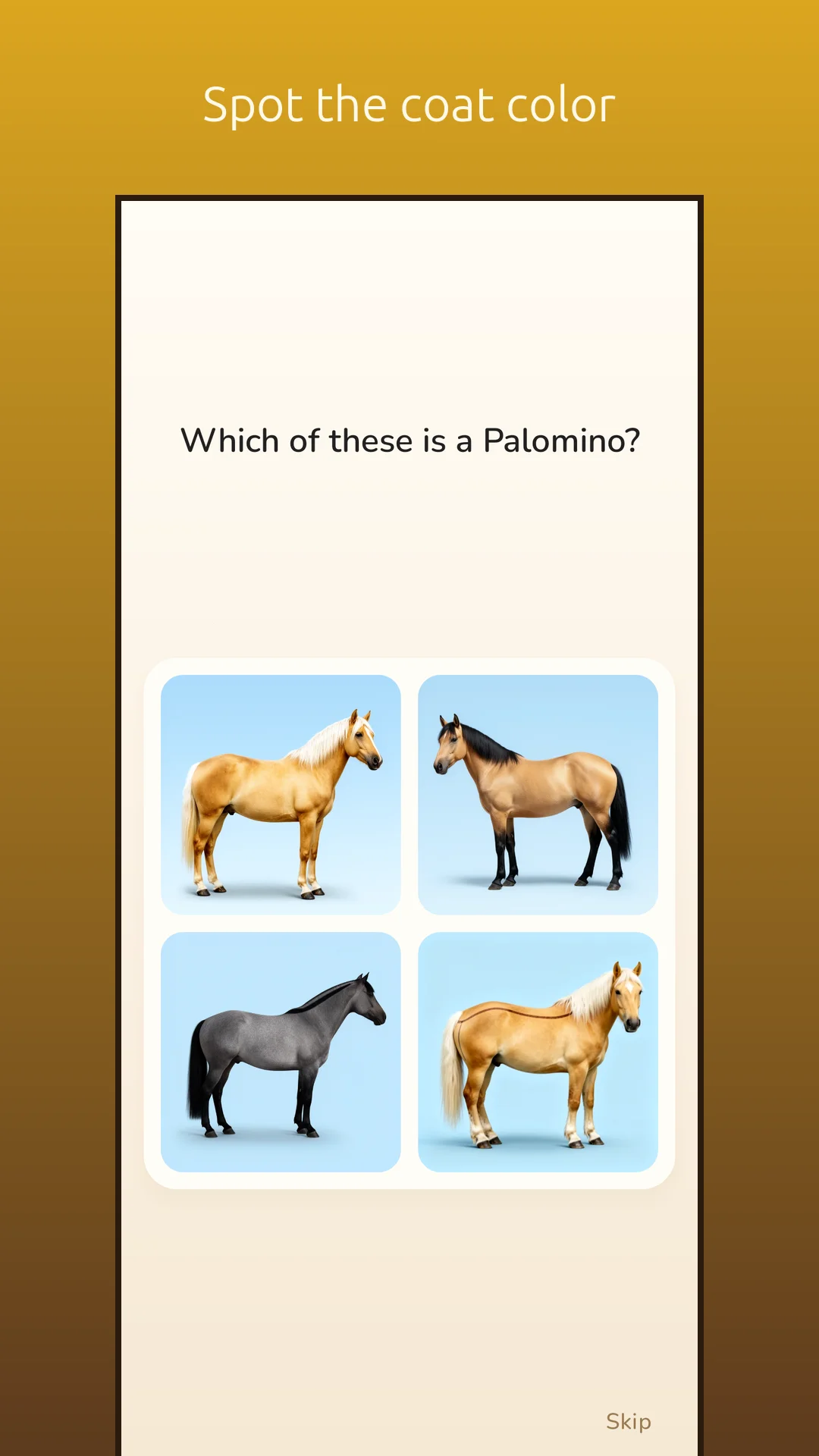 PonyIQ screenshot 3