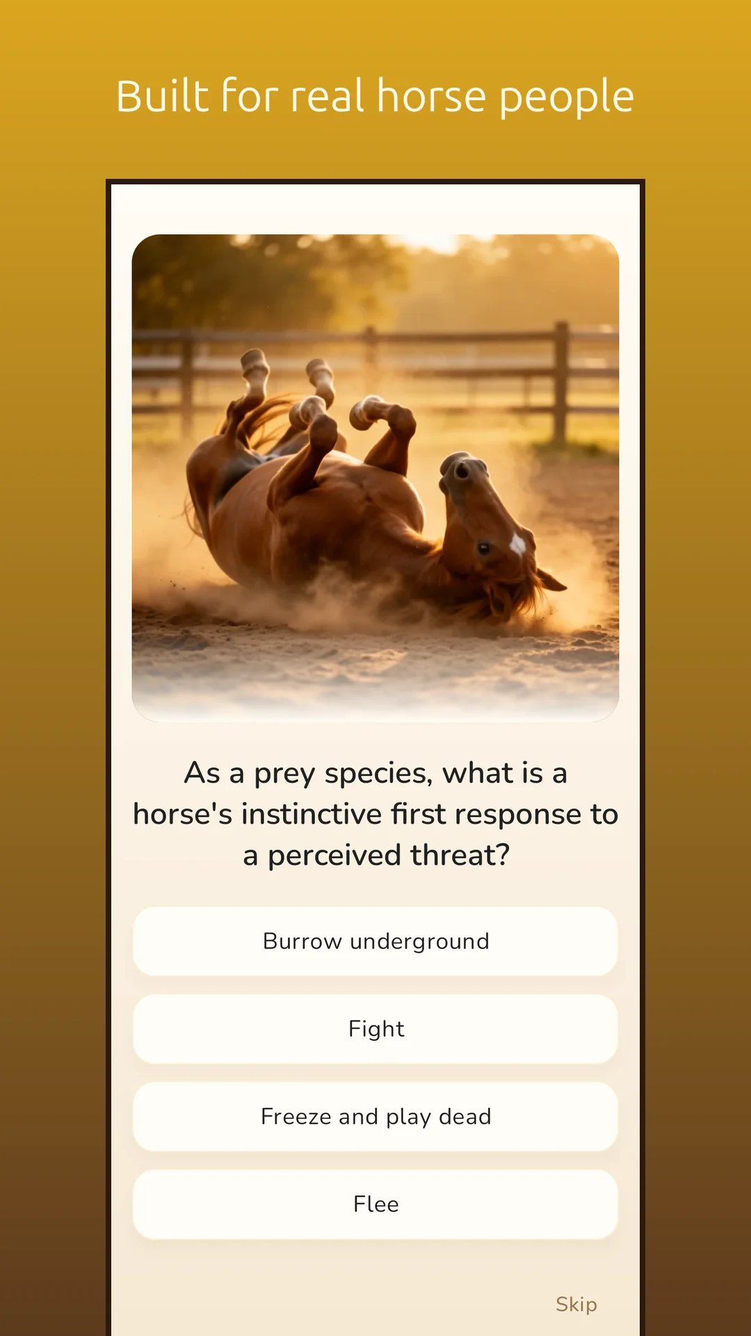PonyIQ screenshot 5