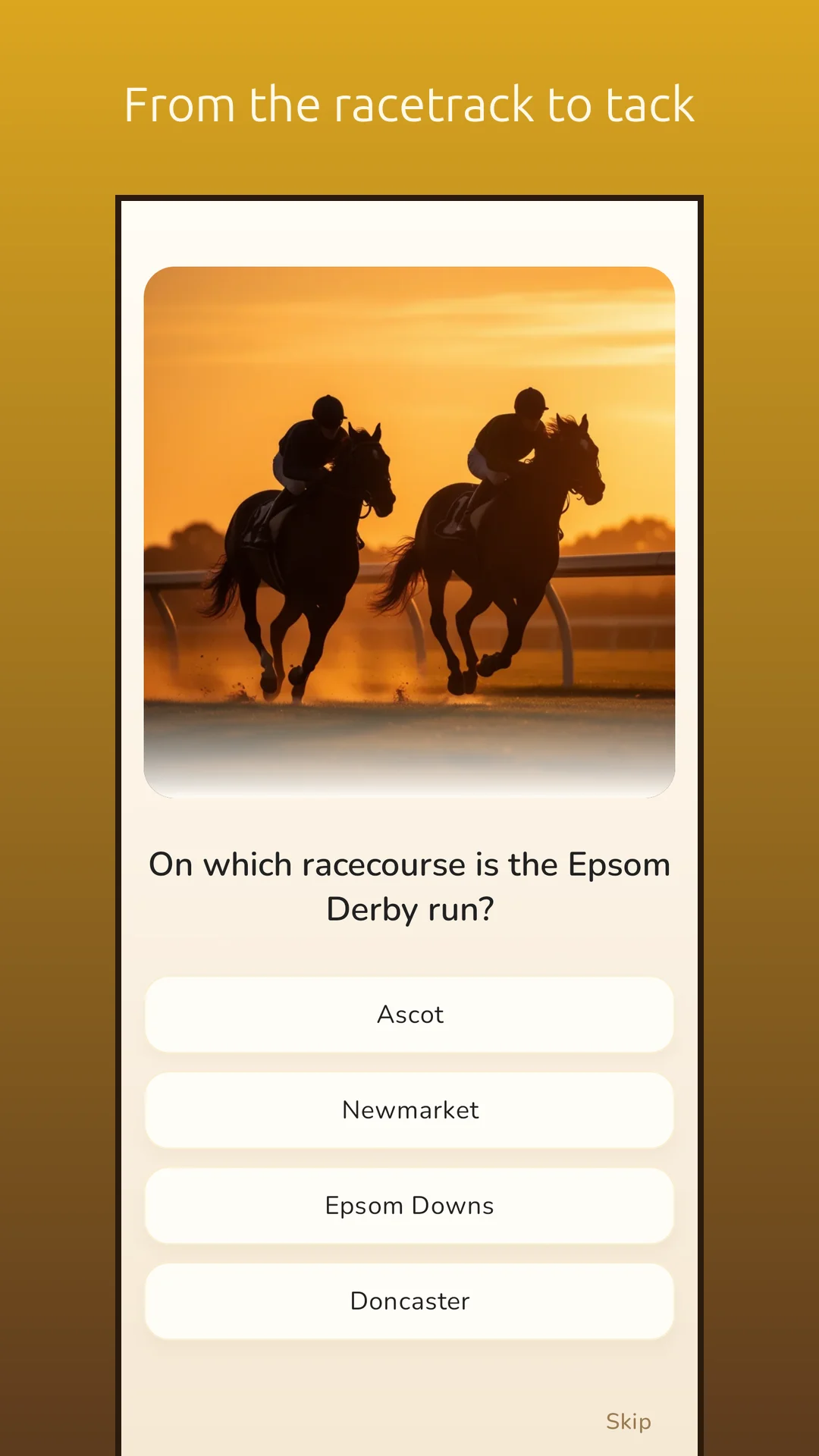 PonyIQ screenshot 6