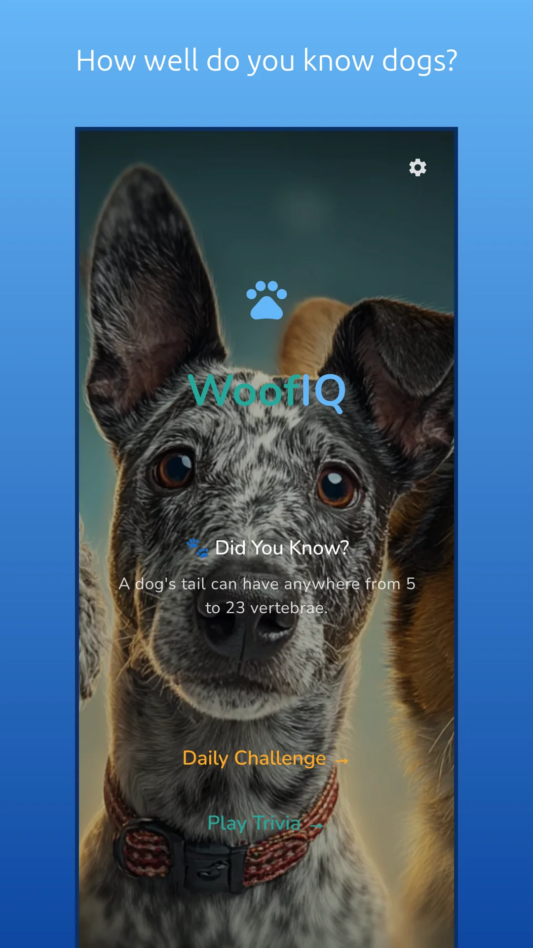 WoofIQ screenshot 1