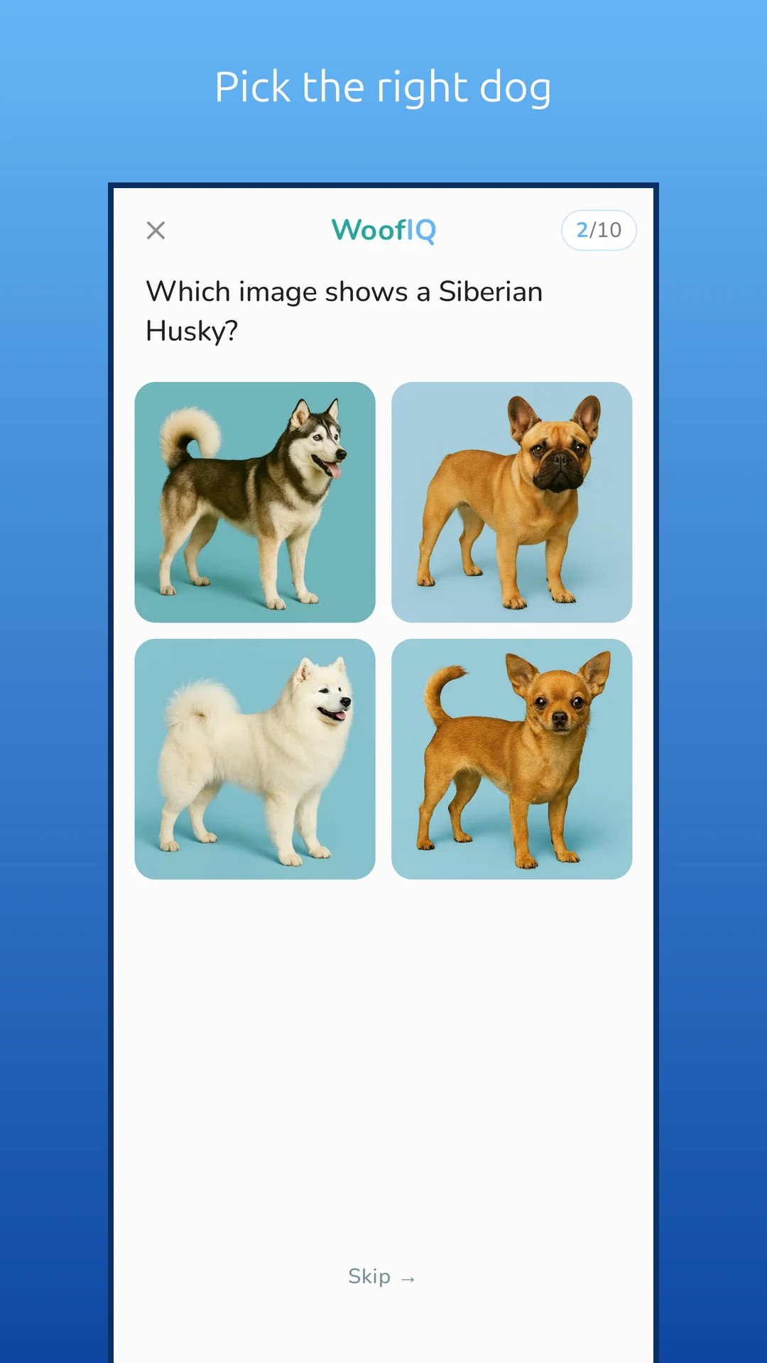 WoofIQ screenshot 3