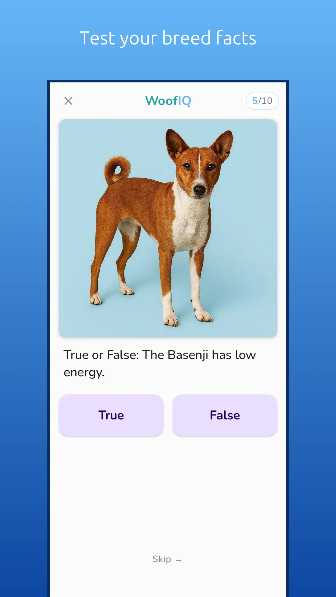 WoofIQ screenshot 6
